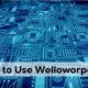 to Use Welloworpenz