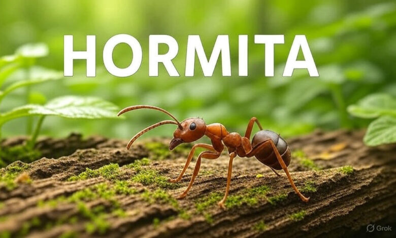Hormita